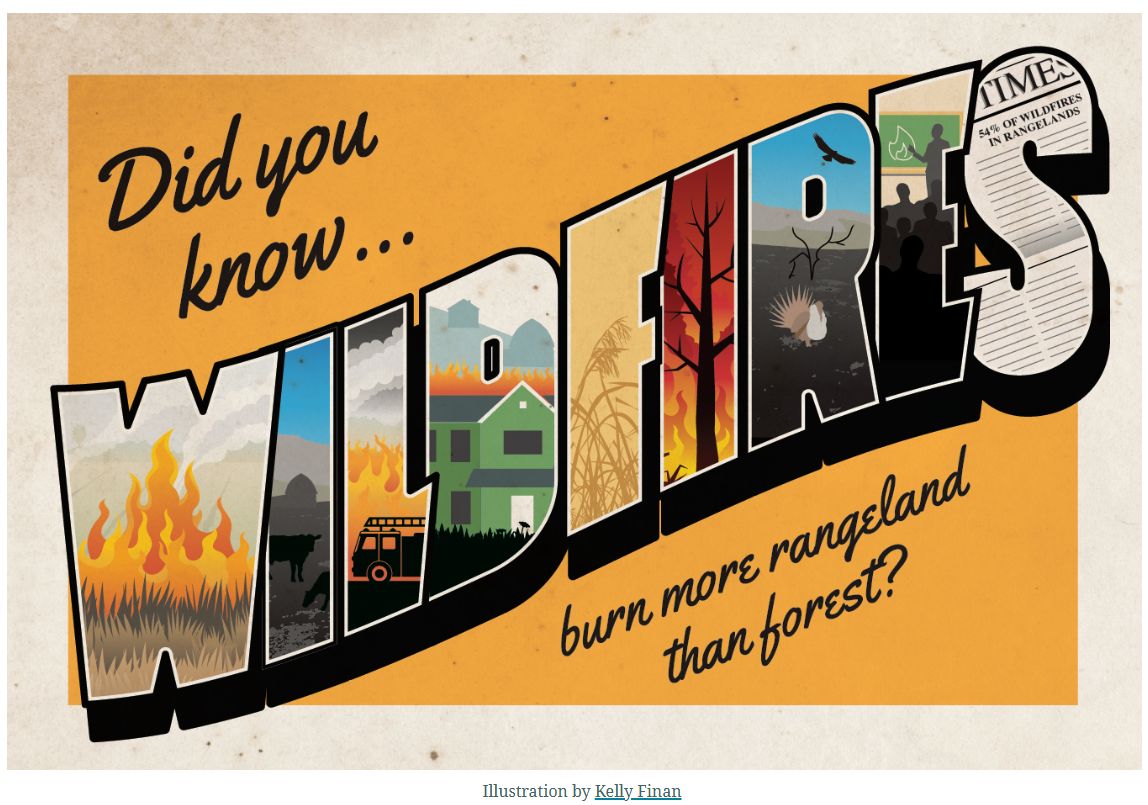 Did you know wildfires burn more rangeland than forest?