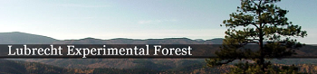 Lubrecht Experimental Forest Website Banner Lubrecht Experimental Forest Website Banner