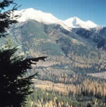 Coram Experimental Forest