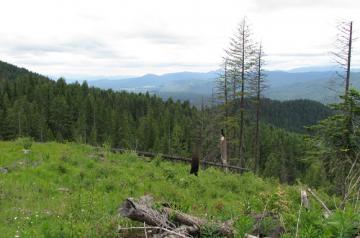 Priest River Experimental Forest