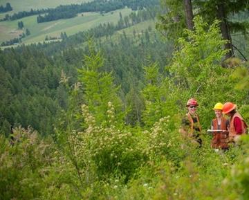 University of Idaho Experimental Forest