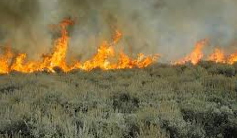 Sagebrush fire