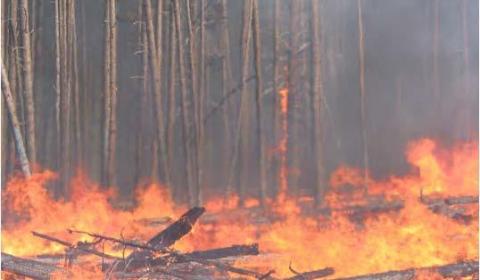 Severe Fire